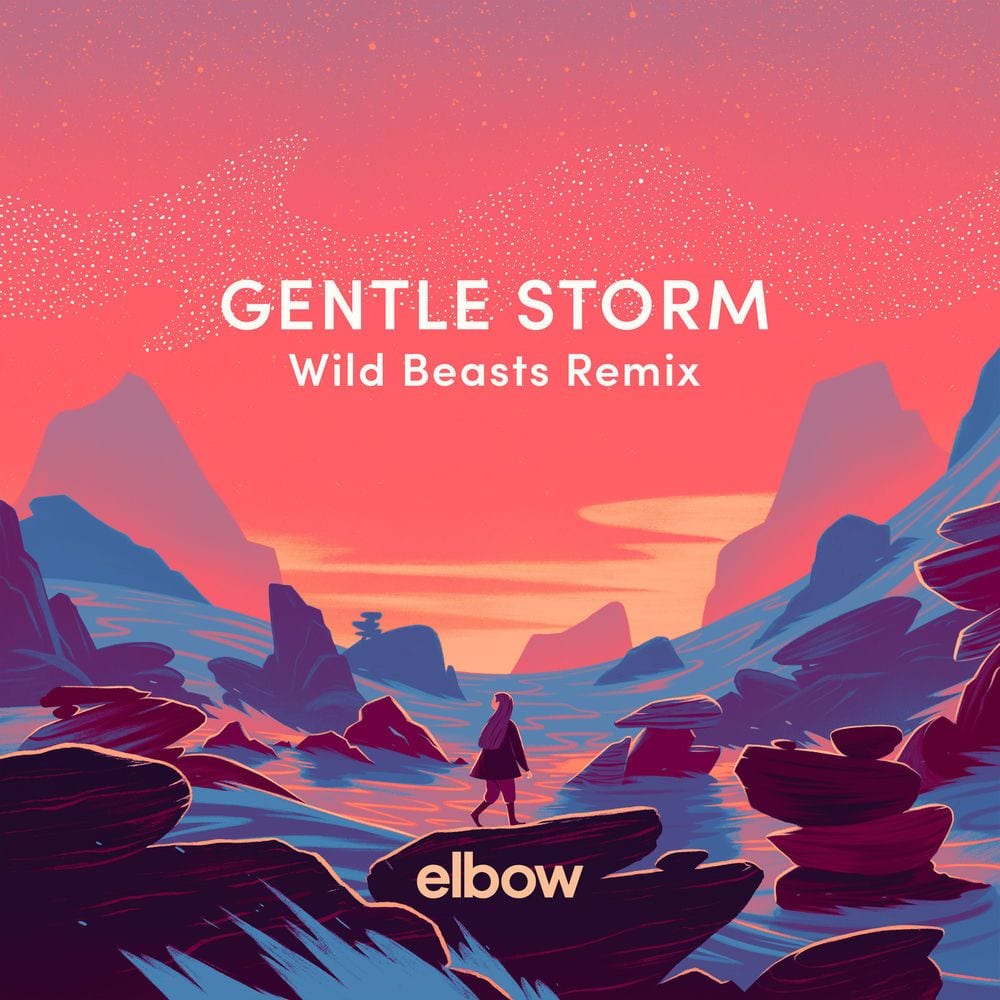 Gentle Storm (Wild Beasts Remix) cover