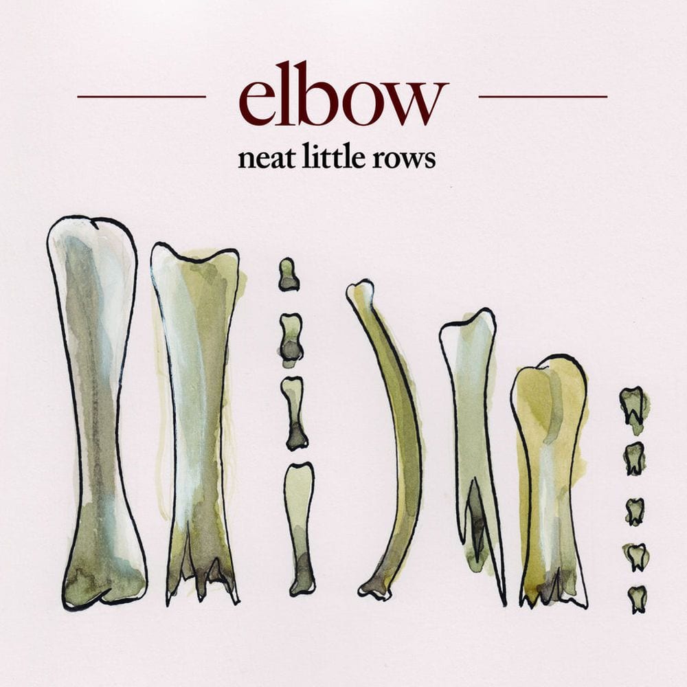 neat little rows cover