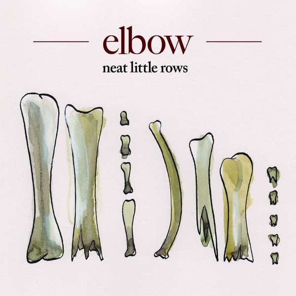 neat little rows cover