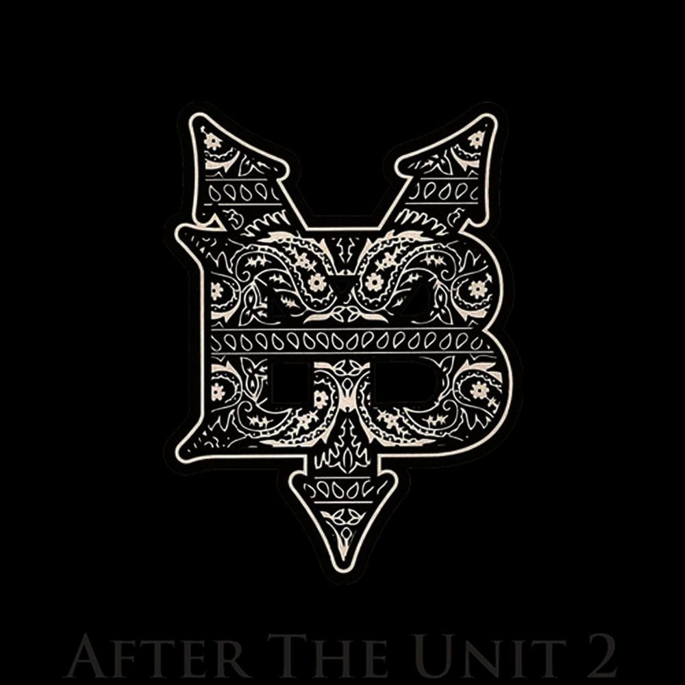 After the Unit 2 cover