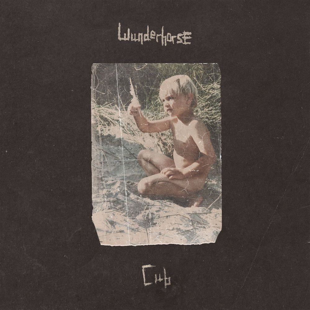 Cub album cover
