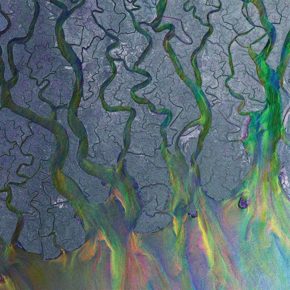 An Awesome Wave cover