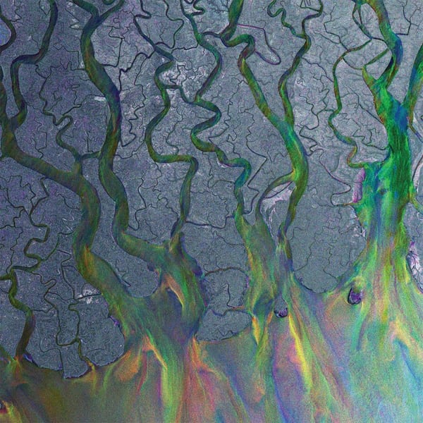 An Awesome Wave cover