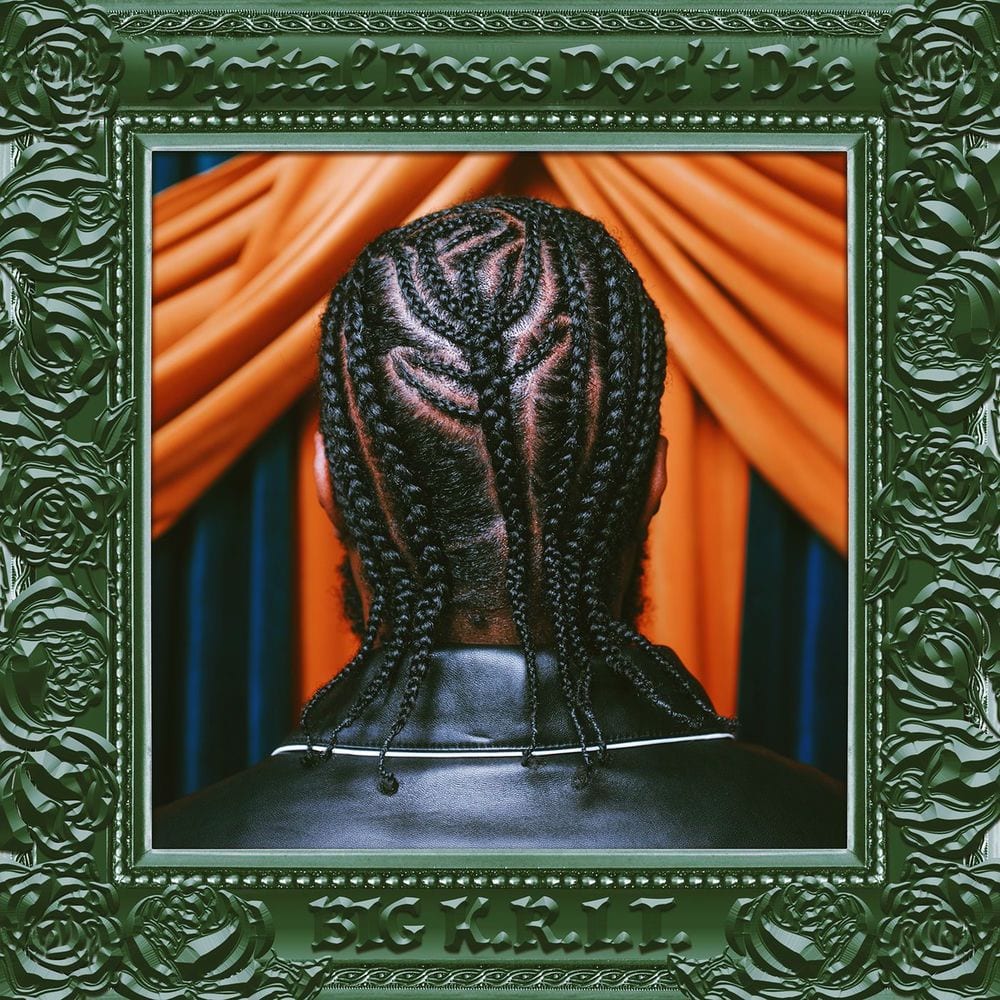 Digital Roses Don't Die cover