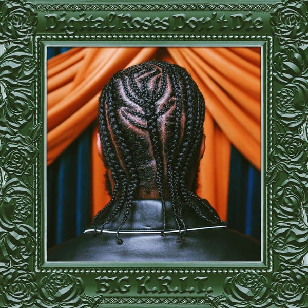 Digital Roses Don't Die cover