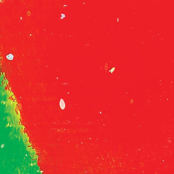 Every Other Freckle cover