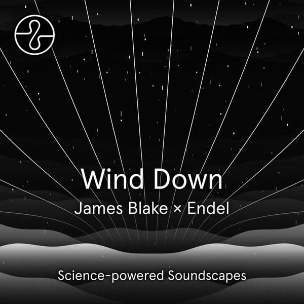 Wind Down cover