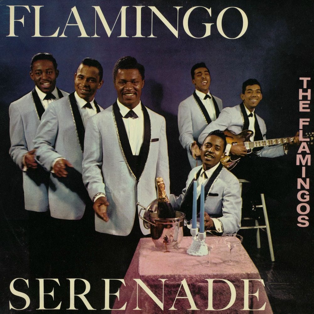 Flamingo Serenade cover