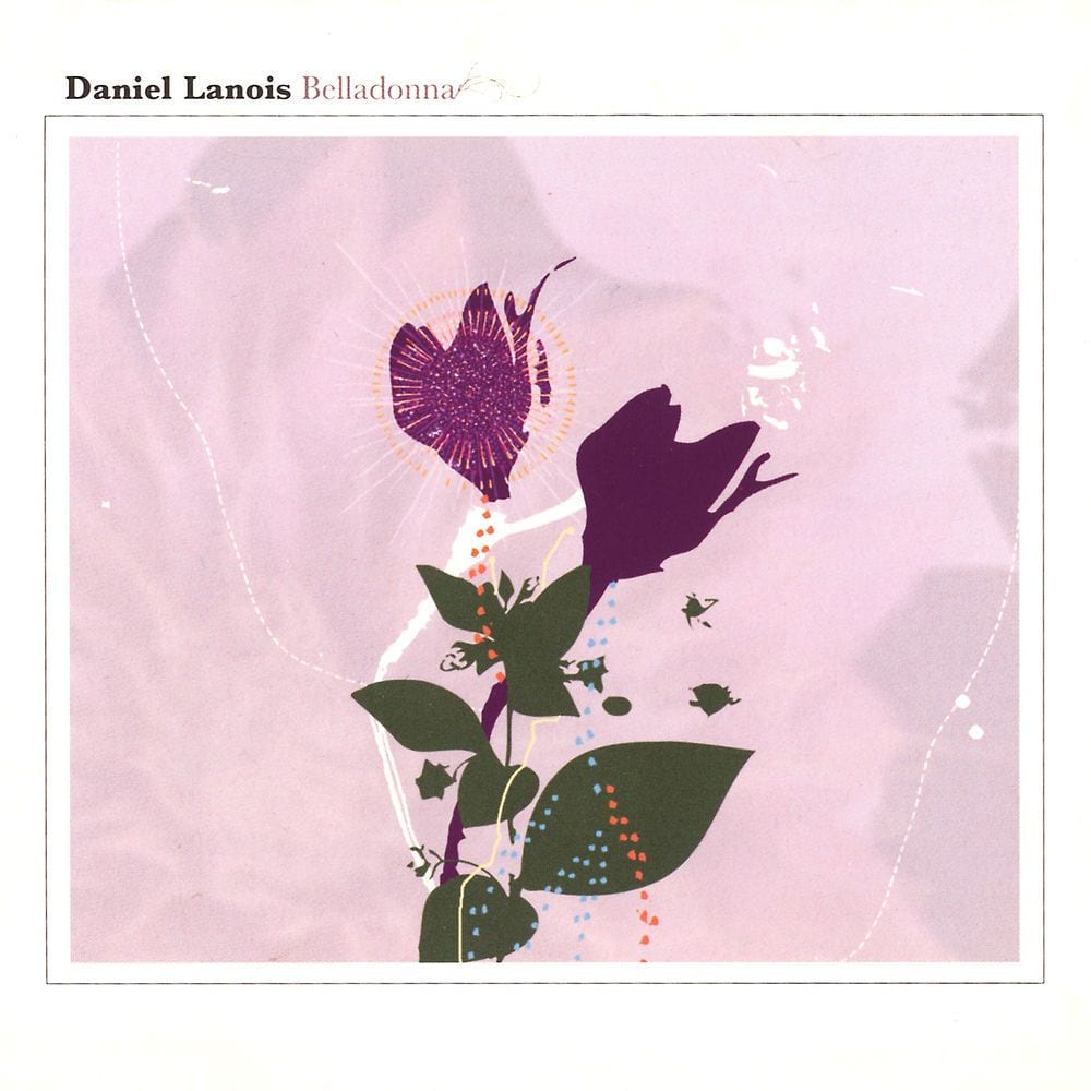 Belladonna artwork