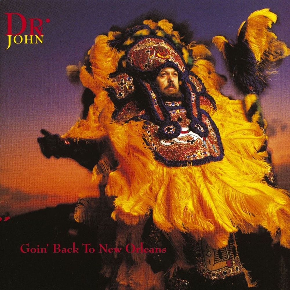 Goin' Back to New Orleans cover