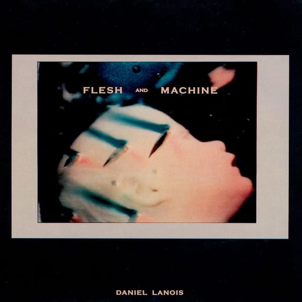 Flesh and Machine cover