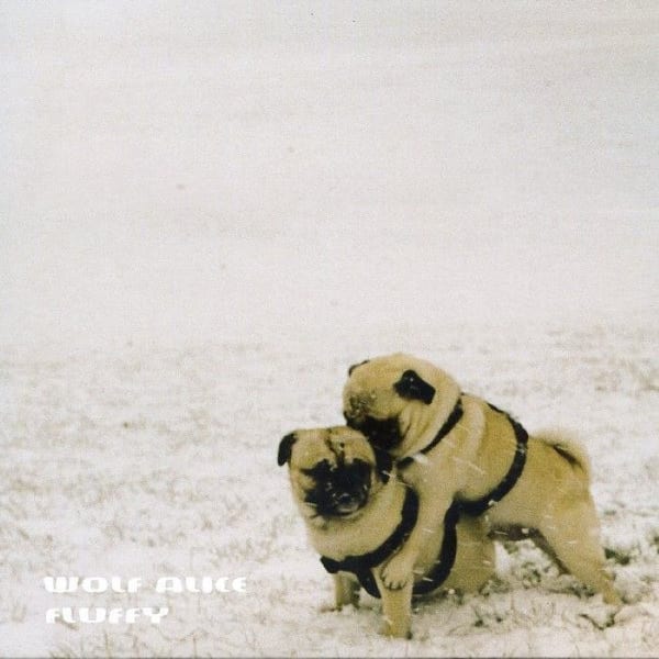 Fluffy album cover