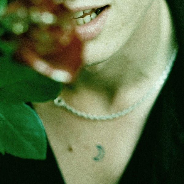 Don't Delete The Kisses cover