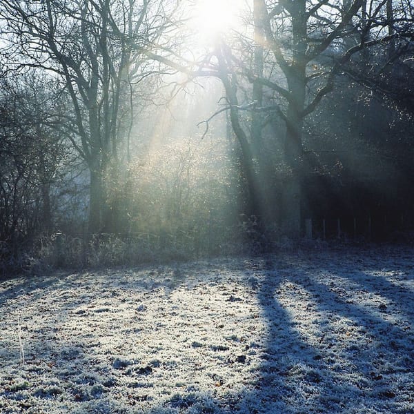 Heavenward album cover