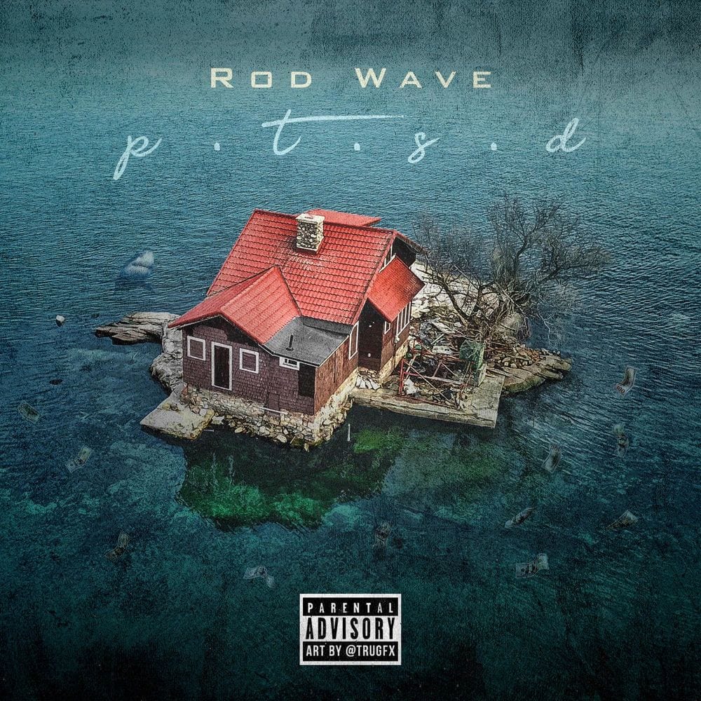PTSD cover
