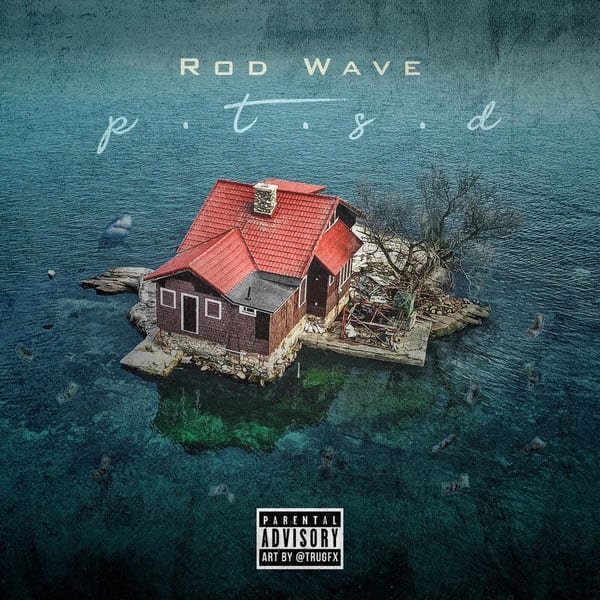 PTSD cover