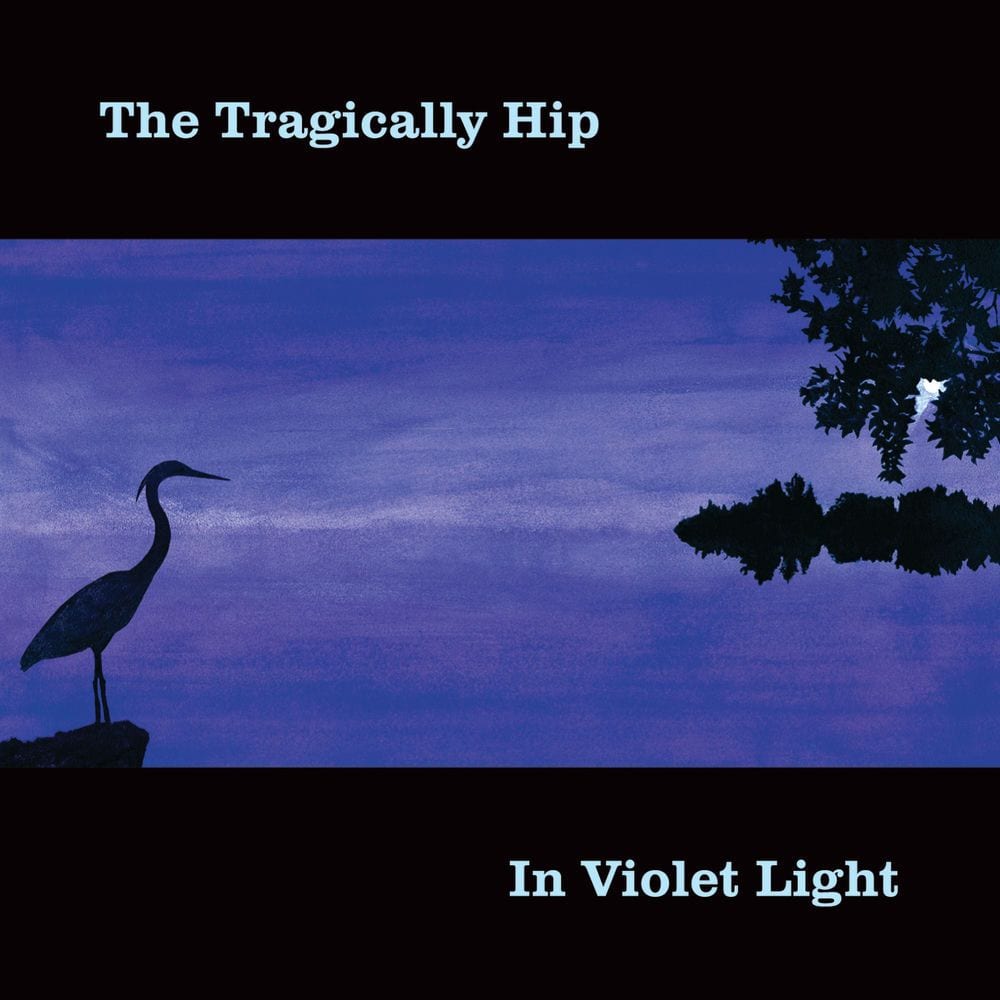 In Violet Light cover