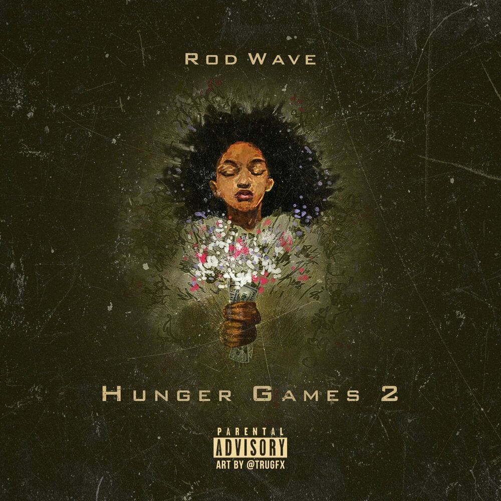 Hunger Games 2 cover