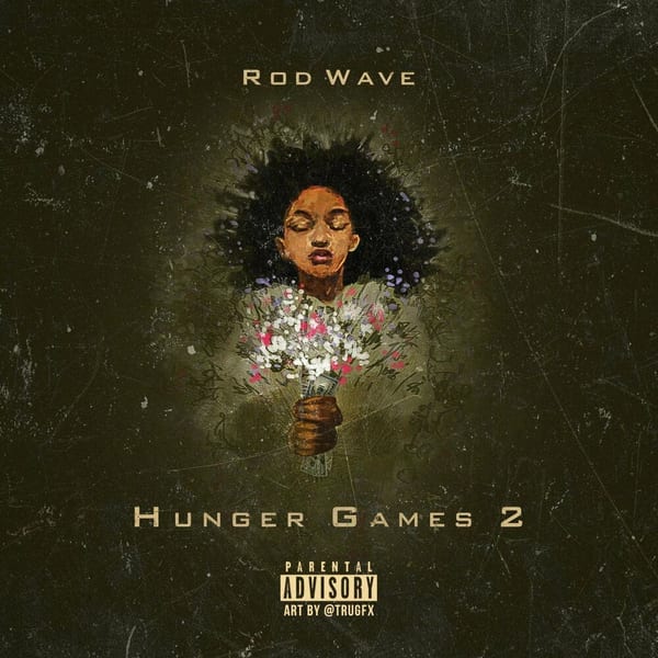 Hunger Games 2 cover