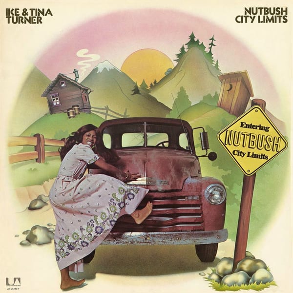 Nutbush City Limits cover