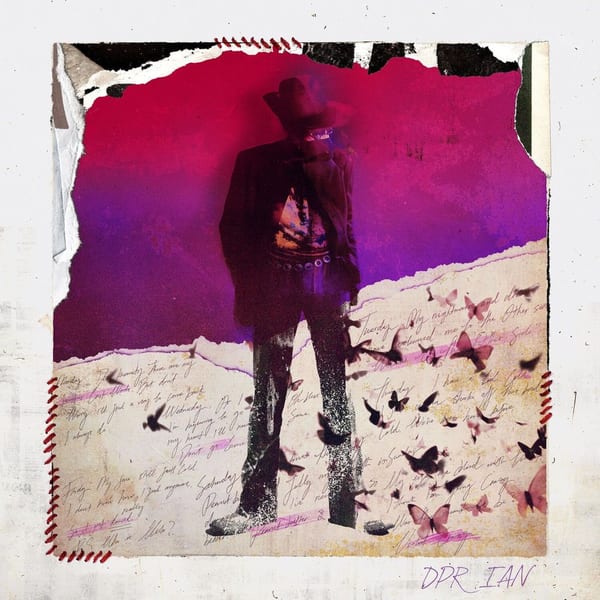 Dear Insanity… cover