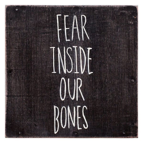 Fear Inside Our Bones cover