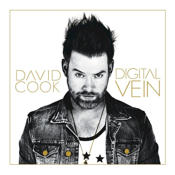 Digital Vein cover