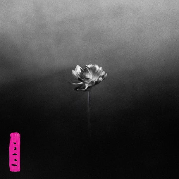 Lotus cover