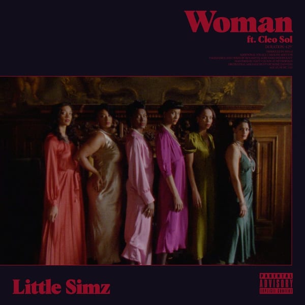 Woman cover