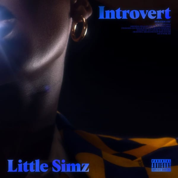 Introvert album cover