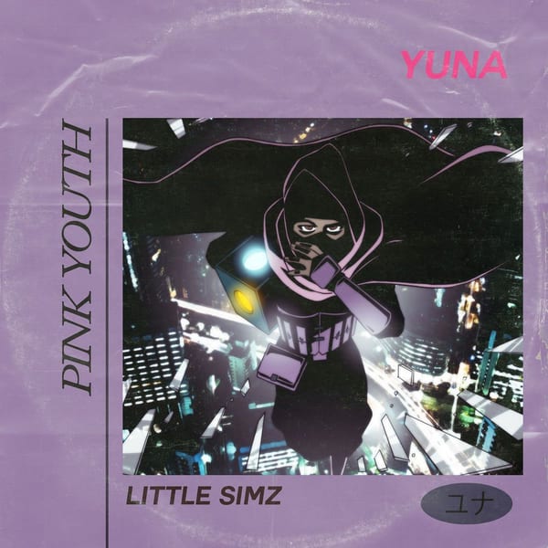 Pink Youth cover