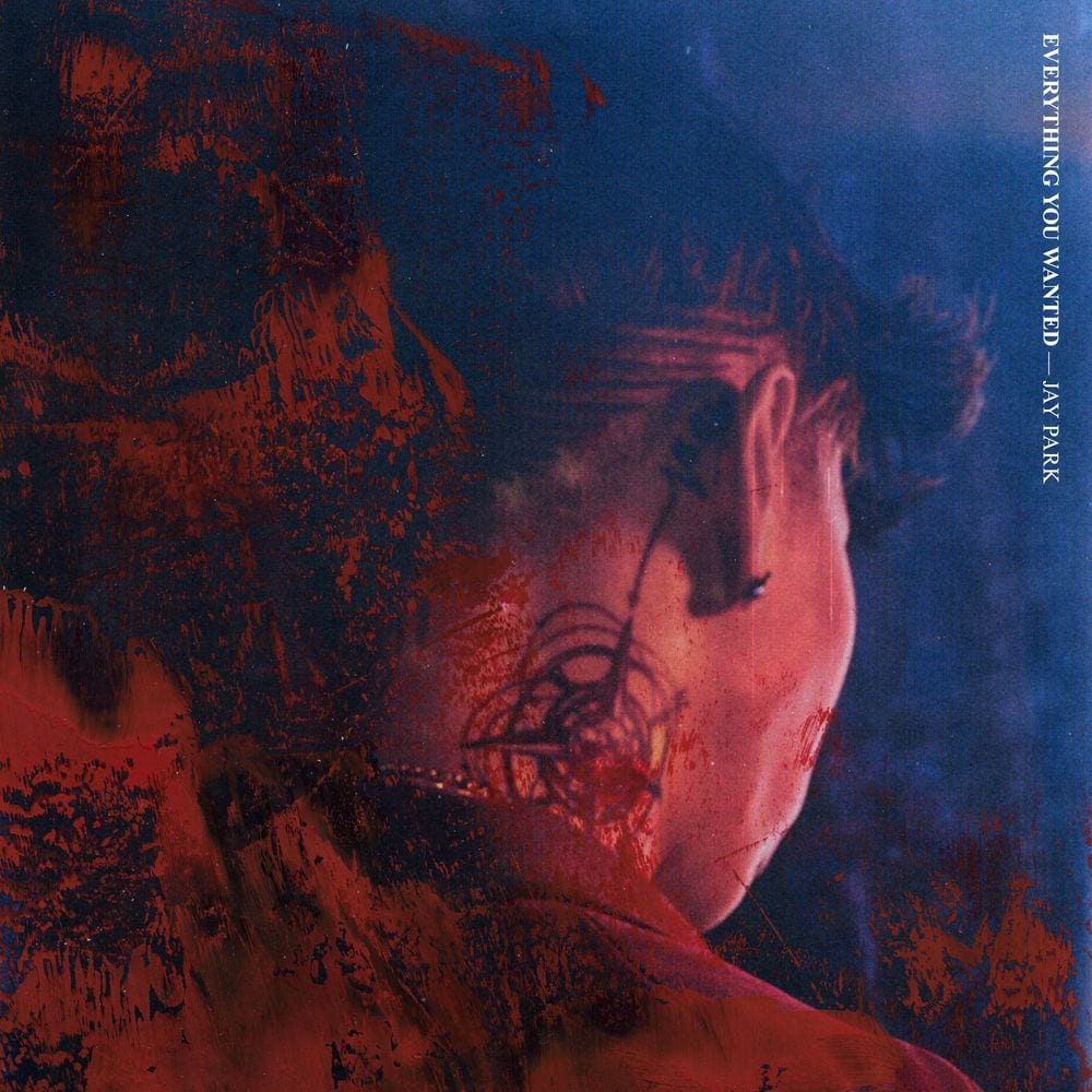 EVERYTHING YOU WANTED cover