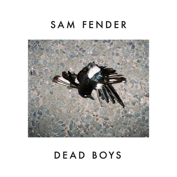 Dead Boys cover