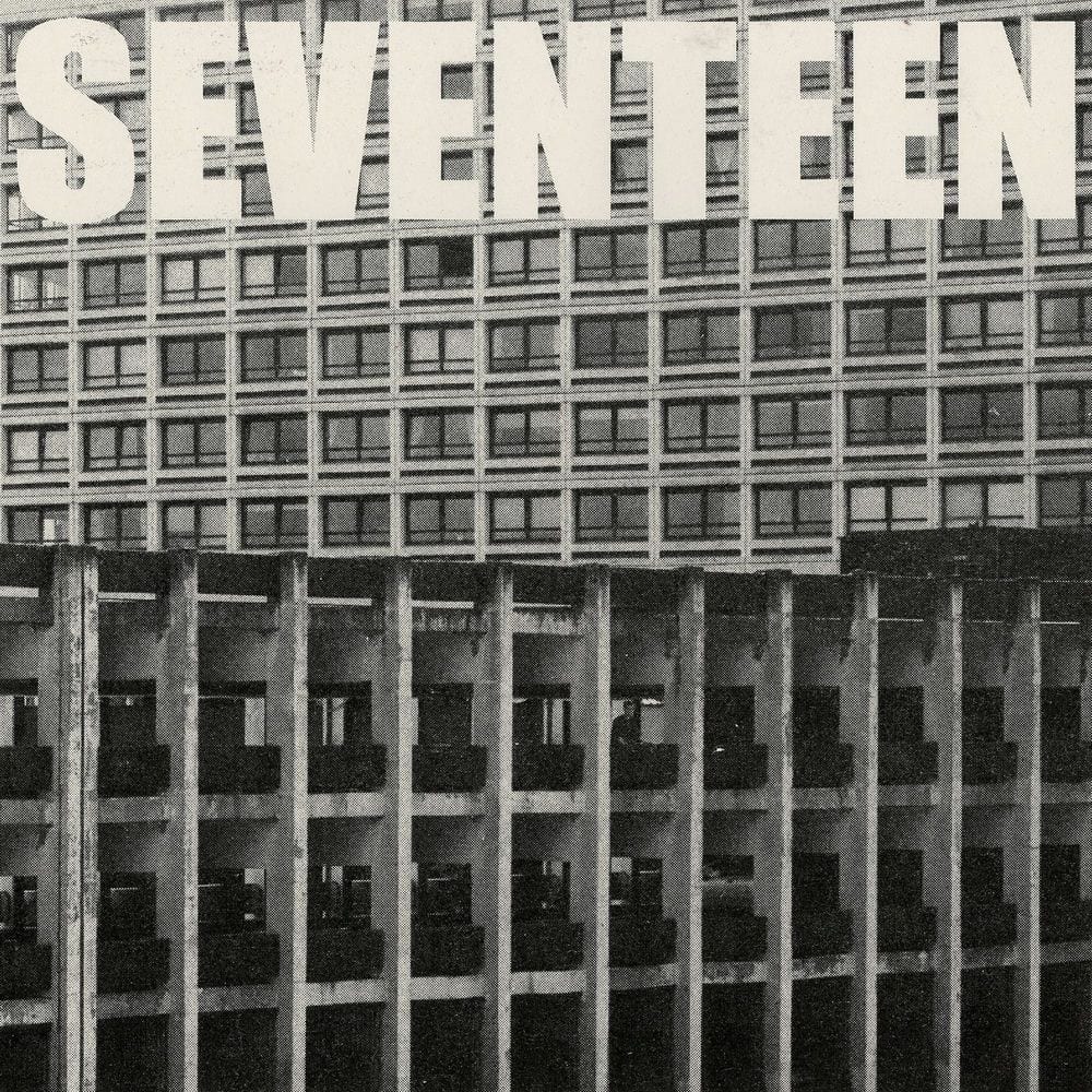 Seventeen Going Under cover