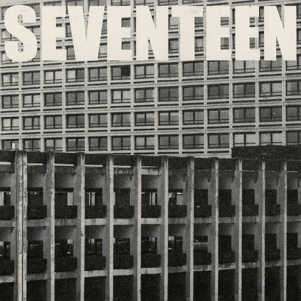 Seventeen Going Under cover