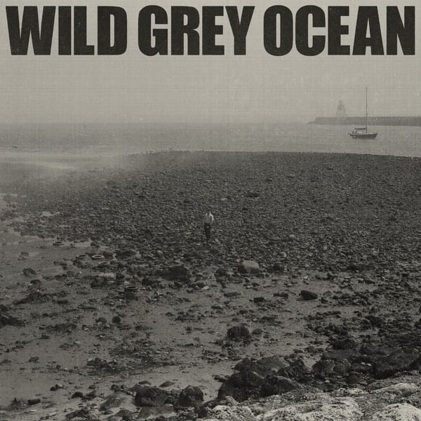Wild Grey Ocean cover