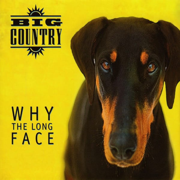 Why the Long Face cover