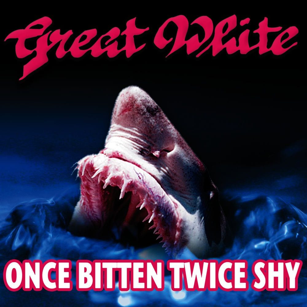 Once Bitten, Twice Shy cover
