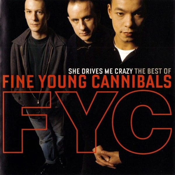She Drives Me Crazy: Best of cover