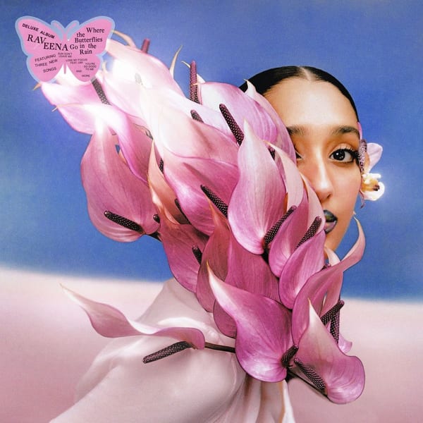 Where the Butterflies Go in the Rain cover