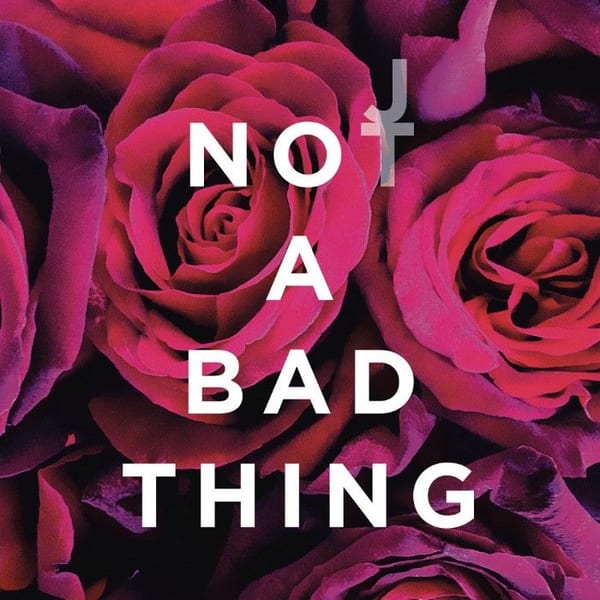 Not a Bad Thing cover