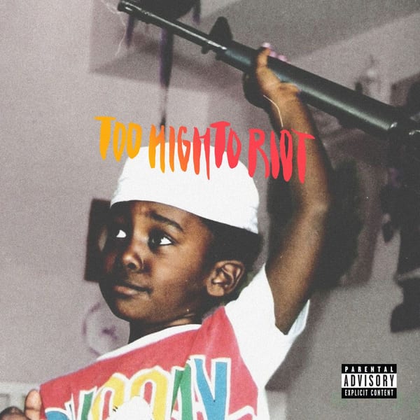 Too High to Riot cover