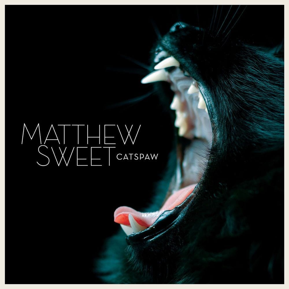 Catspaw cover