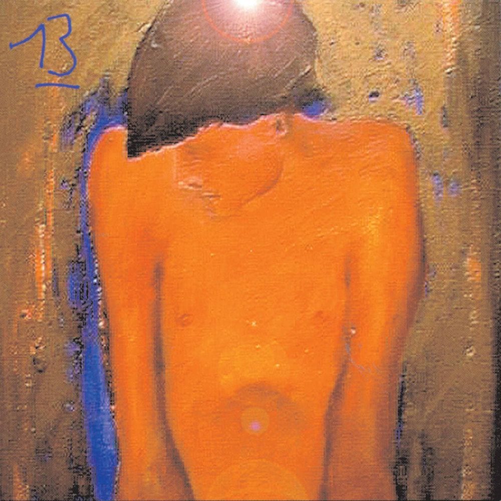 13 cover