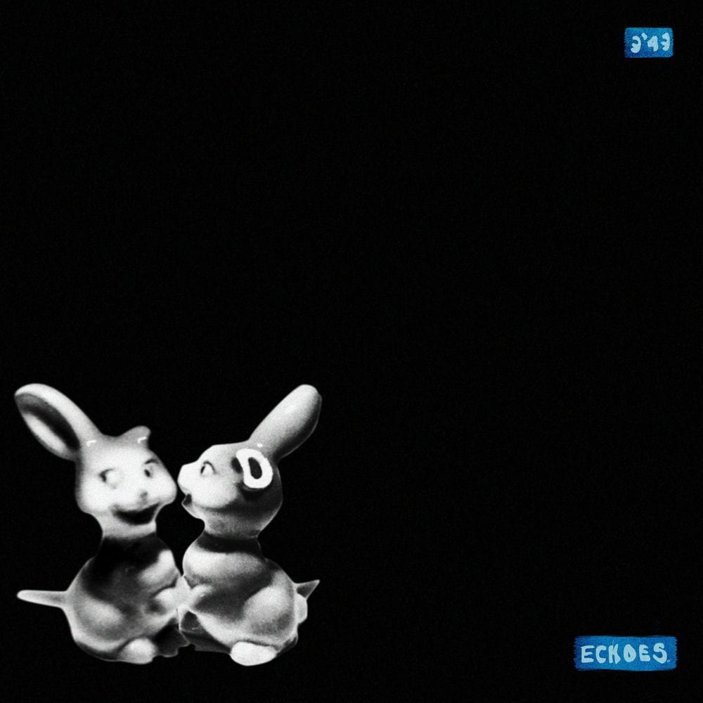 Echoes cover