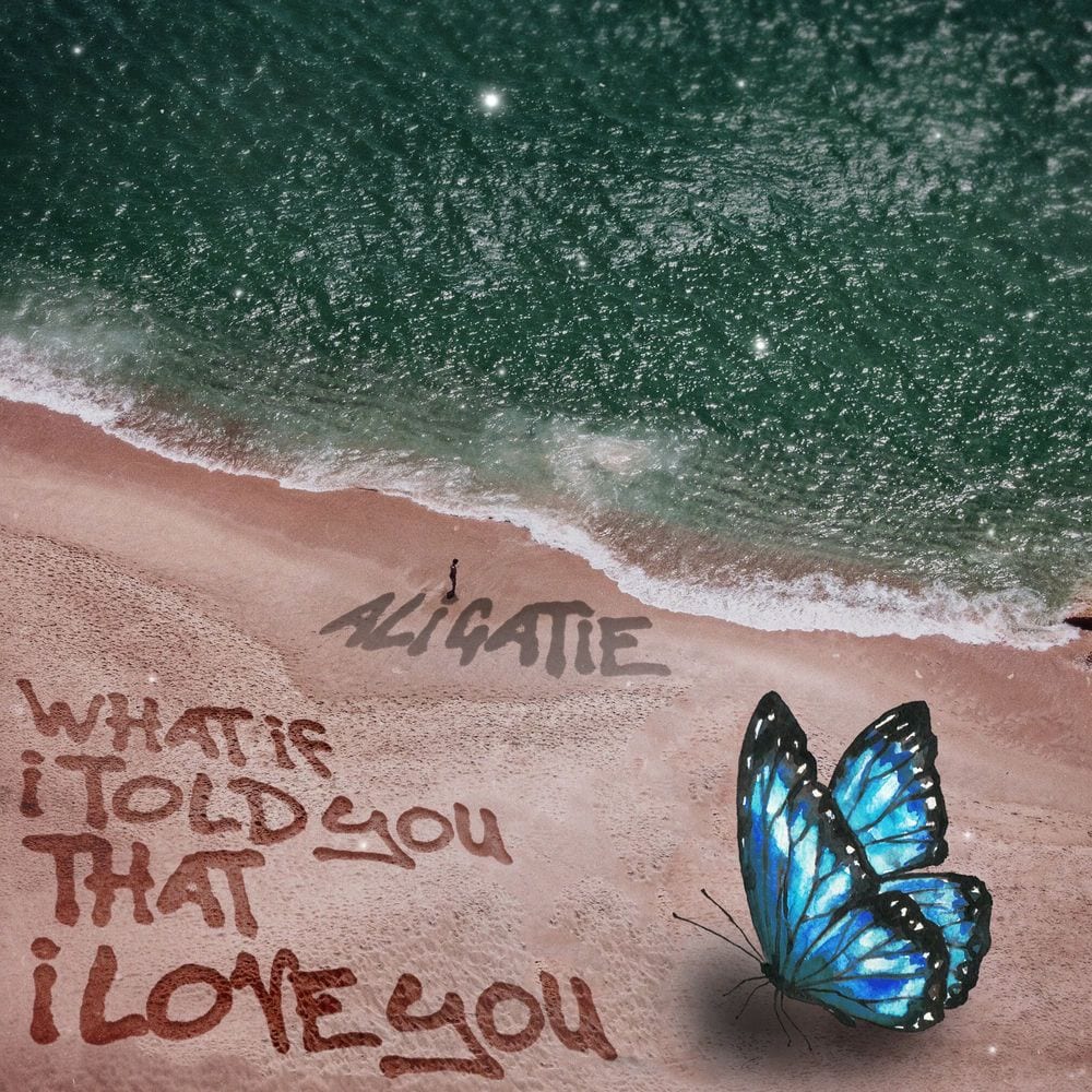 What if I Told You That I Love You cover