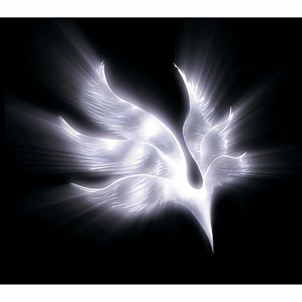 orbital period cover