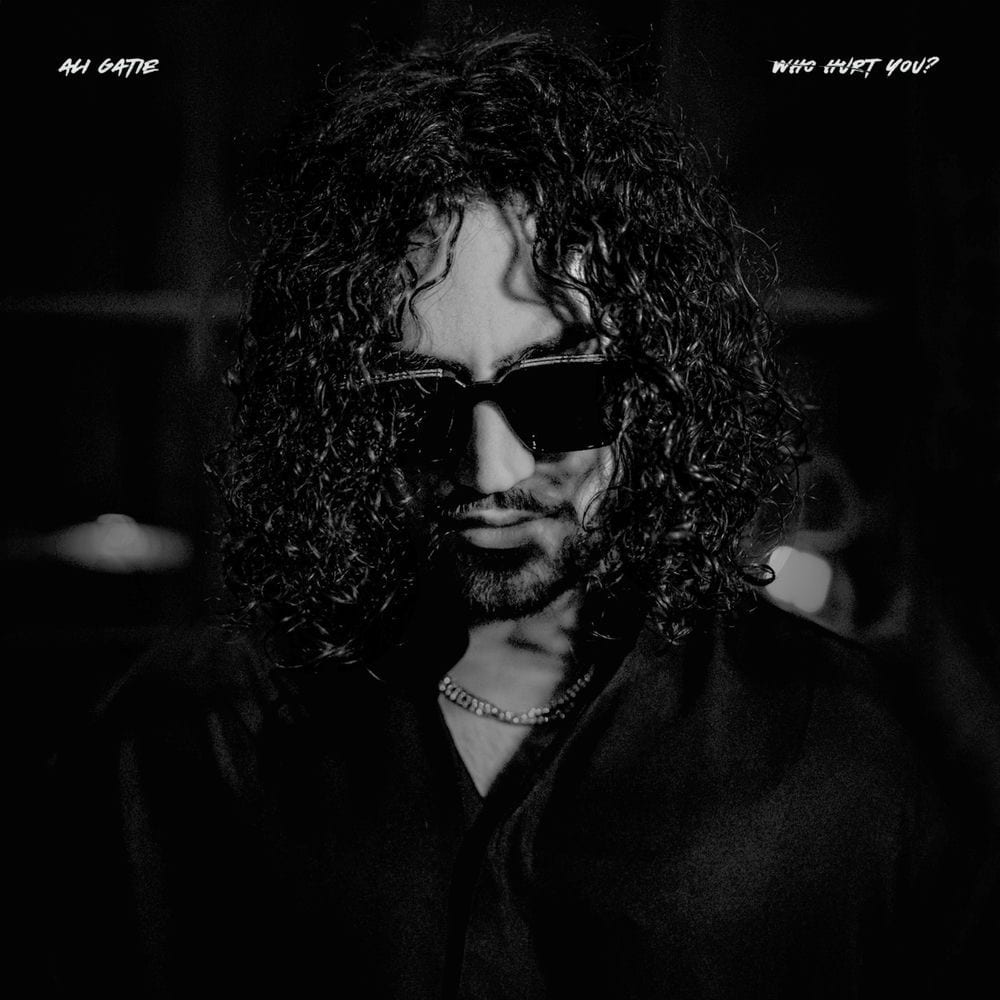 WHO HURT YOU? cover