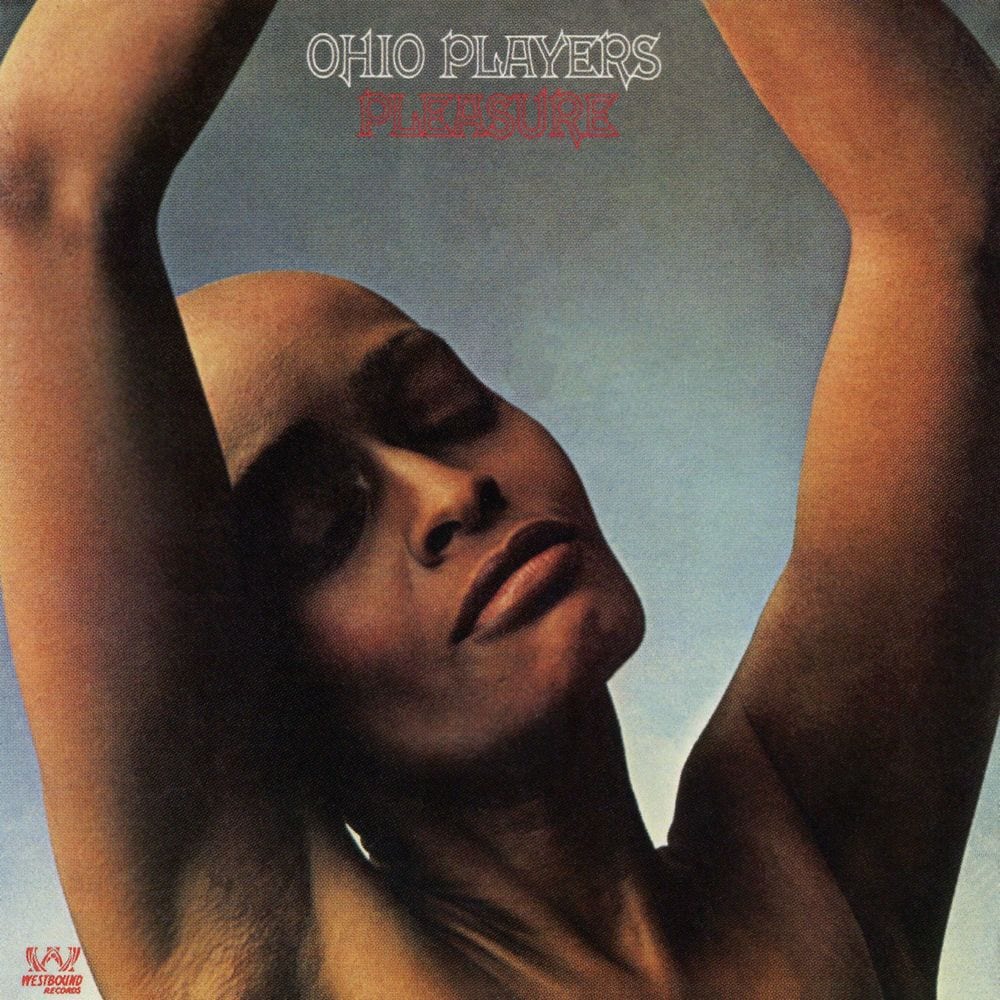 Pleasure album cover artwork