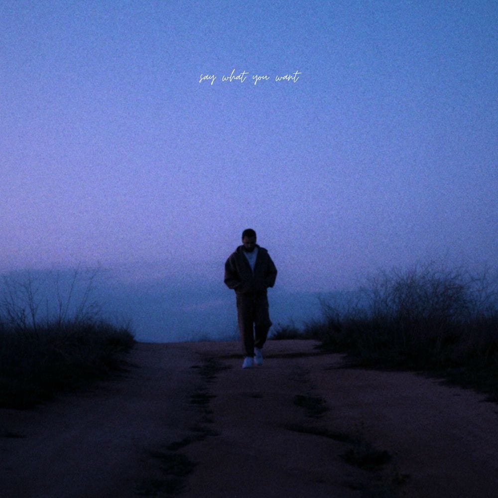 Say What You Want cover